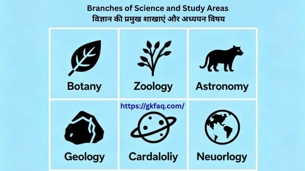 Branches of Science and Study Areas