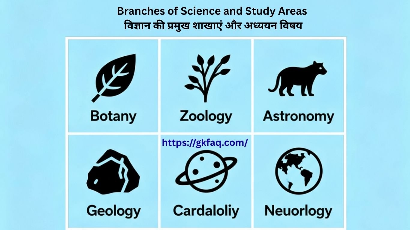 Branches of Science and Study Areas