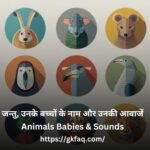 Animals Babies & Sounds