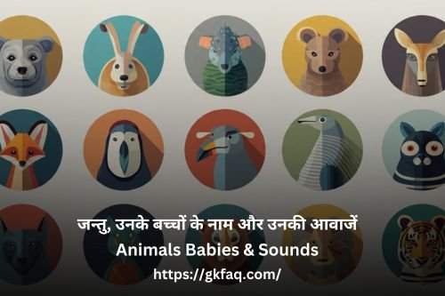 Animals Babies & Sounds